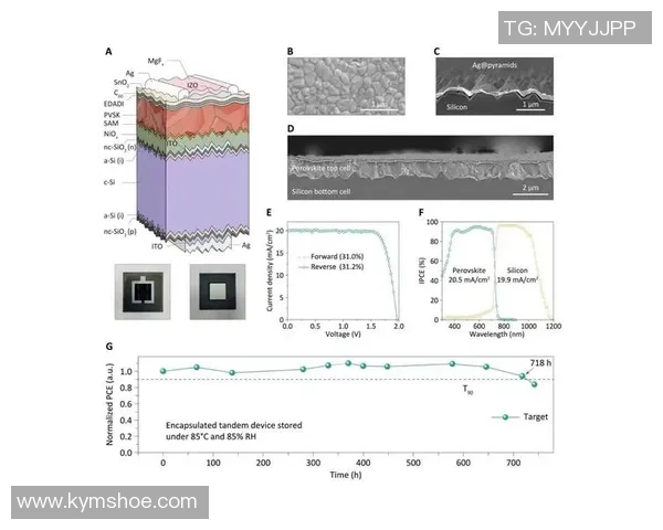 全面解析足球球星提升耐力的科学训练方法与高效体能强化策略